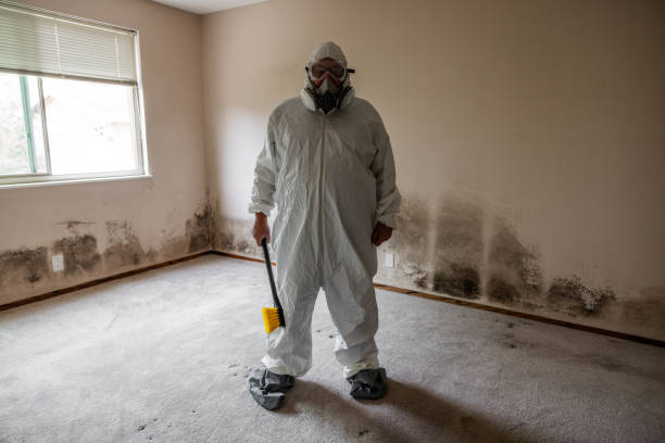 Best Commercial Mold Removal  in Shelbyville, TN